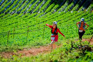 BIB: 
                            <button type="button" onclick="openModal(19163480)" class="btn btn-primary btn-sm float-right btn-popup" data-toggle="modal" data-target=".modal-high-quality">
                        <i class="fas fa-shopping-cart"></i> Add to Cart
                    </button>
                                            <button type="button" onclick="isThisMe(19163480, true)" class="btn btn-success btn-sm float-right btn-popup btn-isme hidden" data-toggle="tooltip" data-placement="bottom" title="นี่คือรูปของคุณใช่ไหม คลิกที่นี่เพื่อเอาเข้าอัลบั้ม">
                        <i class="fas fa-plus"></i> Add to album
                    </button>
                    <button type="button" onclick="isThisMe(19163480, false)" class="btn btn-warning btn-sm float-right btn-popup btn-isnotme hidden">
                        <i class="fas fa-ban"></i> Remove from album
                    </button>